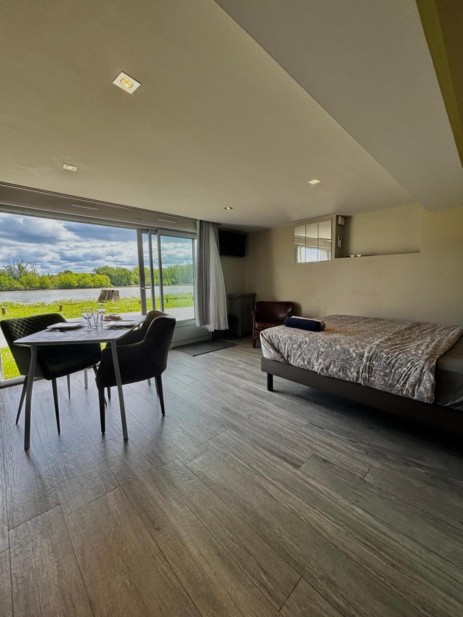 Studio Vue Sur Loire Божанси Экстерьер фото